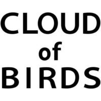 cloud of birds